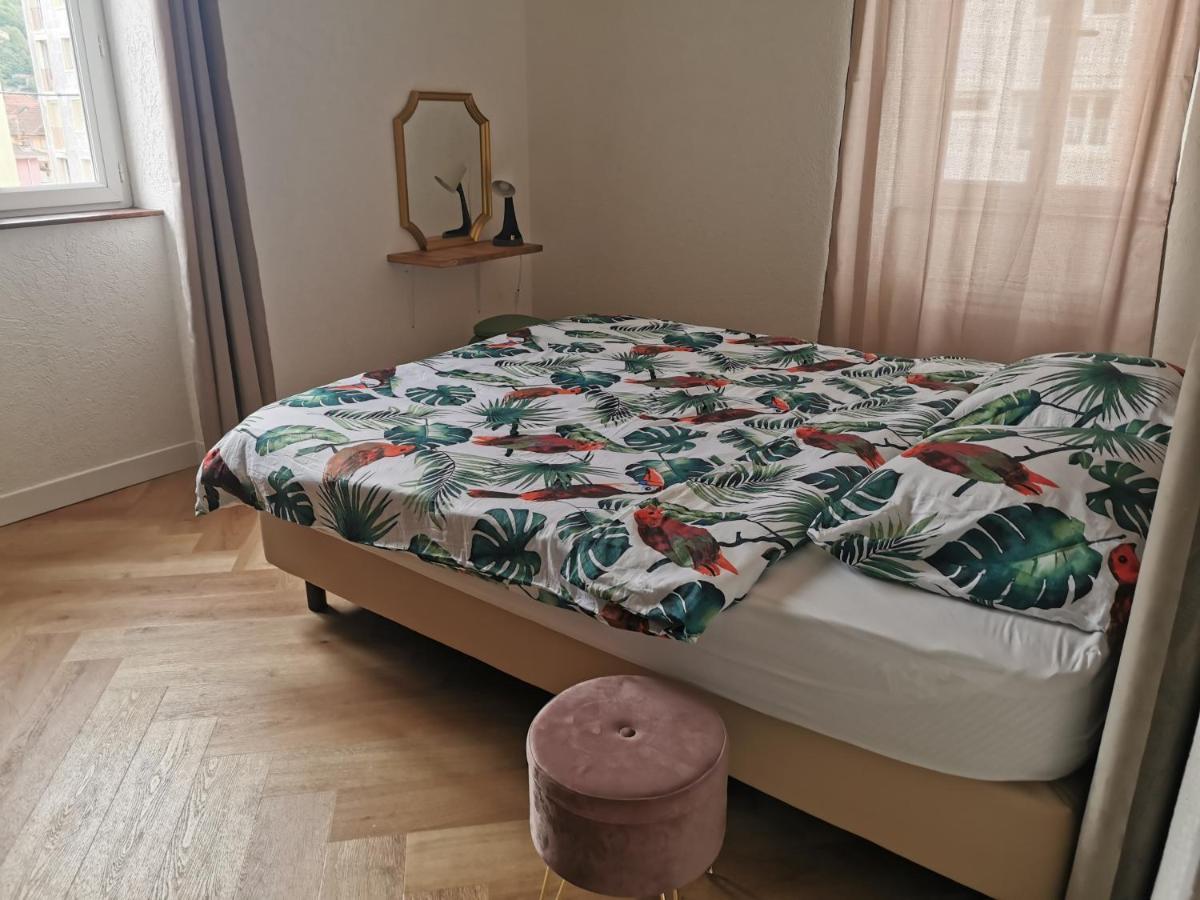Le Petit Angle Appartement 2 Pieces, Plein Centre Ville, Pres De La Gare Jusqu'A 4 Personnes Bellegarde-sur-Valserine Dış mekan fotoğraf